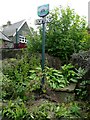 Abandoned stone water trough