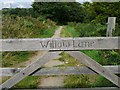 Willow Lane Packhorse Trail