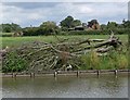 Lineage Farm and the Ashby Canal