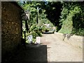 Looking past the Dunster Water Mill tea rooms towards Mill Gardens