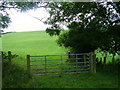 Footpath across the fields to Crackenthorpe