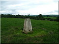 NY6523 : Broad Lea OS trig point by David Brown