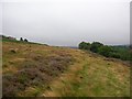 Wet moorland