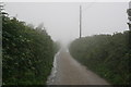 Misty Country Lane