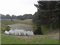 Pond on Stoney Ridge Road