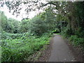 West Howe: path from Kinson Common