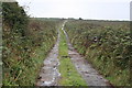 Bridleway to Caer Bran