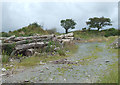 Timber by disused quarry track, Penuwch, Ceredigion