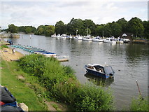 TQ1568 : River Thames at Hampton Court Bridge by Nigel Cox