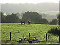 SU4870 : Pasture, Curridge by Andrew Smith