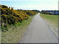 The Disused Railway Line at Lossiemouth