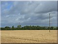 Farmland, Coate