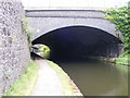 SO9198 : Bridge or Tunnel by Gordon Griffiths