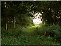 A public footpath, viewed from Belcham