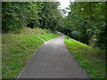 Foot and Cycle Path to Great Lines