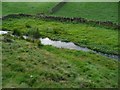 Castle Dike at the possible site of Kirkwood Mill