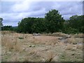 Ruins of Clarendon Palace