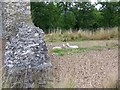 Ruins of Clarendon Palace