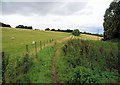 Bridleway to Sparsholt