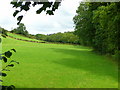 Grassland by the Afon Hepste