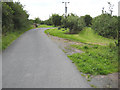 Single track road through cider orchards