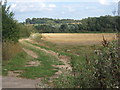 Field alongside Pound Lane