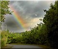 Pitt Street Rainbow