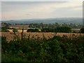 Countryside near Barlborough