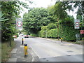 Boundary-  Hindhead/Surrey over into  Grayshott/Hampshire