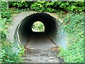 Trackbed of the Nailsworth to Stonehouse railway, Stroud