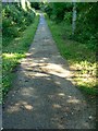 Cycle route on the line of the Nailsworth to Stonehouse railway, Stroud