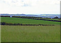 Fields near Plas-y-glomen, Abernant