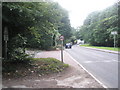 Looking down the A287  towards Hindhead