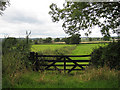 View across a gate