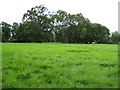 TQ1466 : Weston Green: Emberside Recreation Ground by Nigel Cox