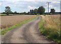 Track towards Rede Lane from Red Barn Farm