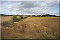 Farmland near Rushbrooke