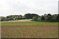 Looking towards Worthy Down Camp from Lower Road, South Wonston