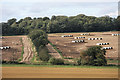 Pig farm near Rushbrooke