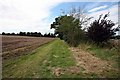 Field adjacent to St Andrew