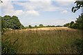 Field west of Sanctuary Farm, South Wonston