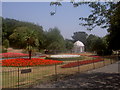 Floral Display in Vale Park