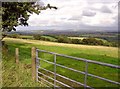 Field near Pant-y-llyn, Clydau