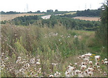 TM1349 : Overgrown field corner by Andrew Hill