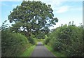 Country road north of Gyfynys Farm