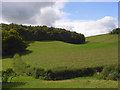 Farmland below Walter