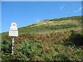 National Trust owned land at Bryn Offa