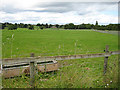 Across a paddock at Harts Farm