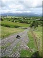 Farm track and sheepfold