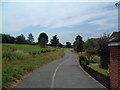 A pathway going past Foxglove  (2)